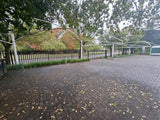 Property 3164289 - Image 15