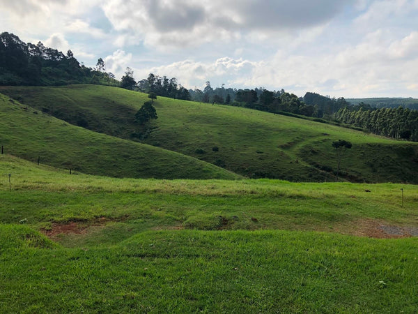 Property 317346 - Image 2