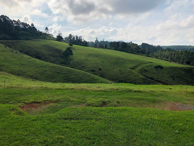 Property 317346 - Image 2