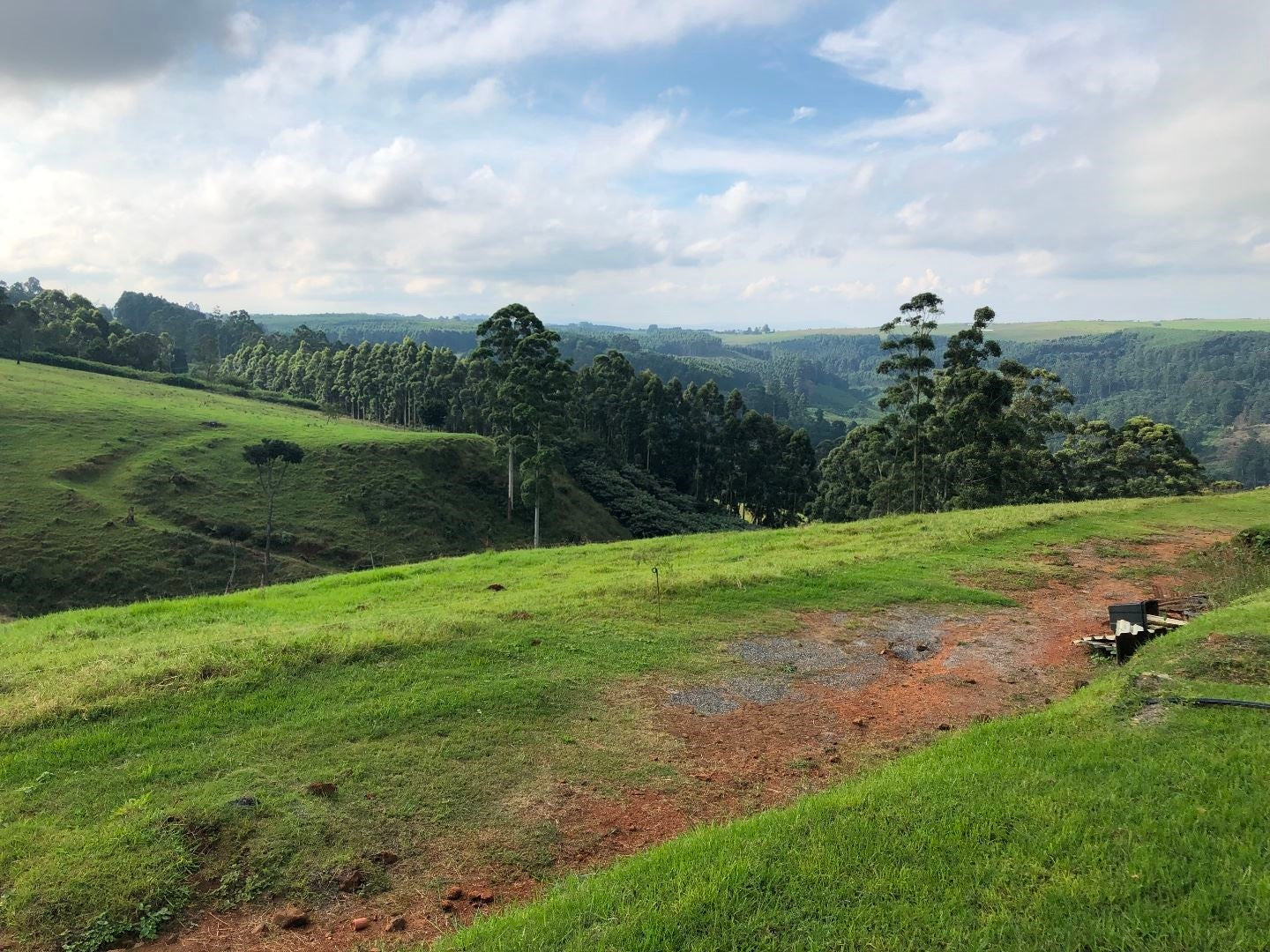 Property 317346 - Image 4