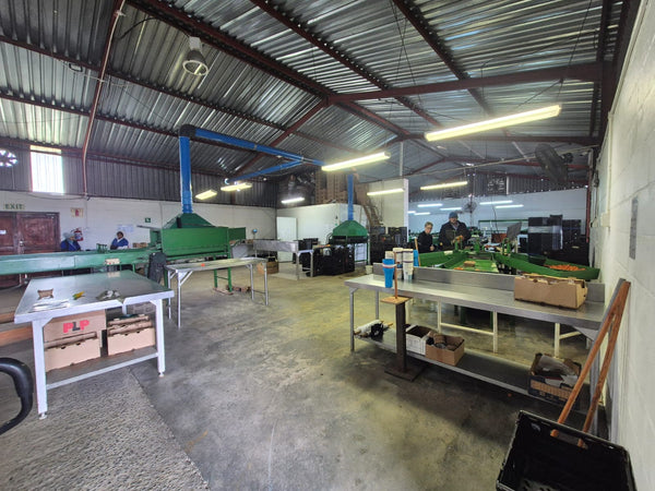 Property 3173614 - Image 16