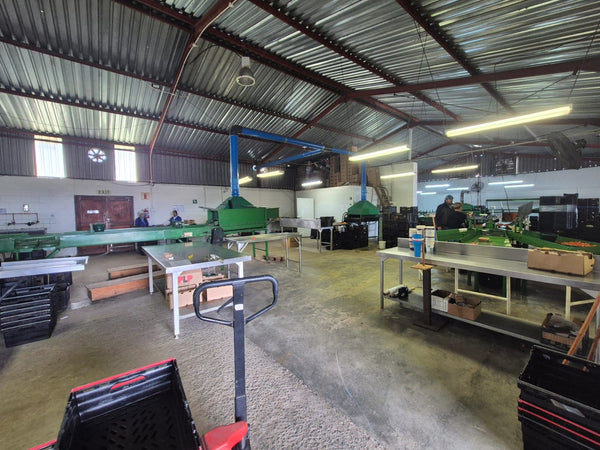 Property 3173614 - Image 17