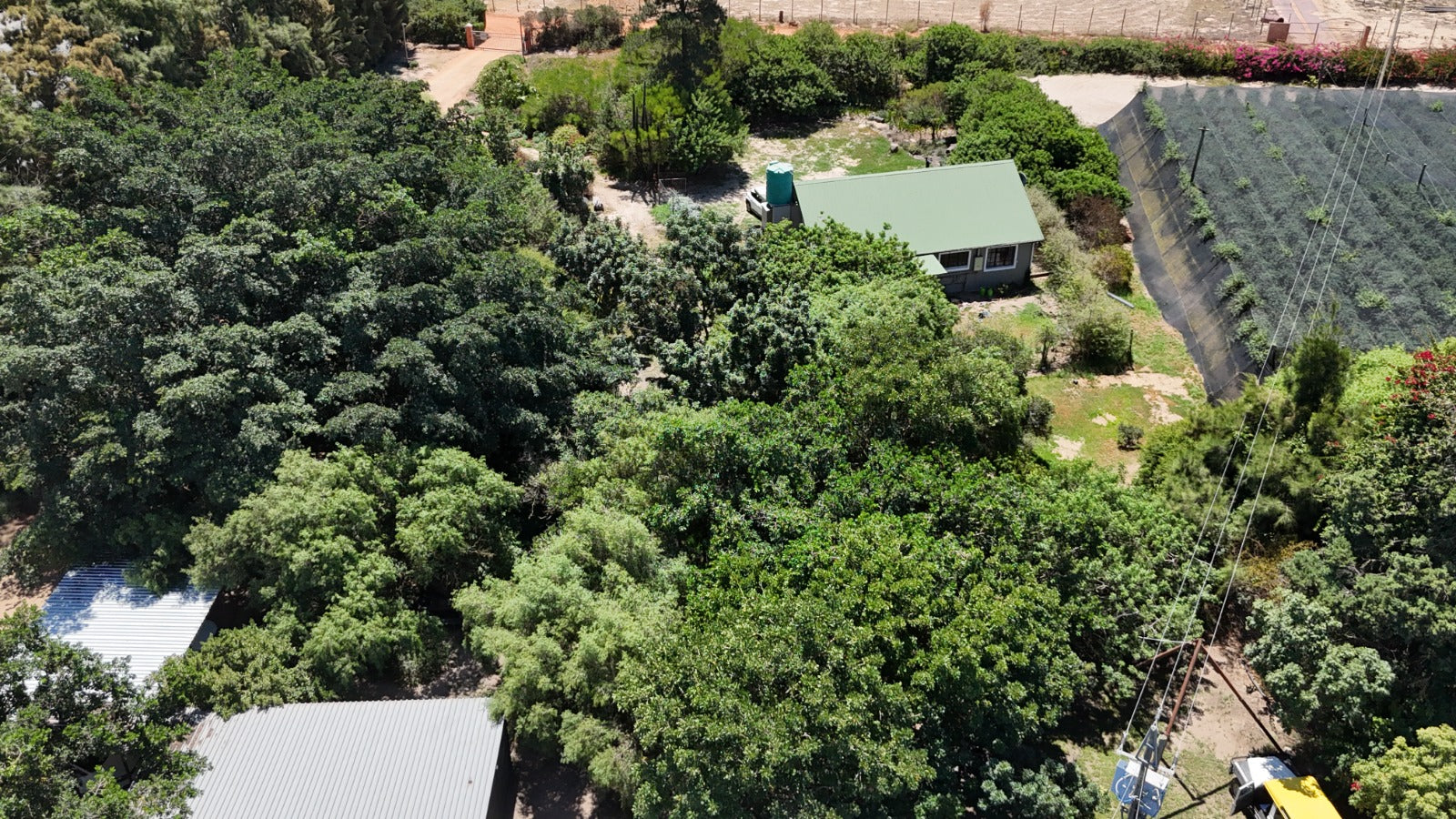 Property 3173614 - Image 34
