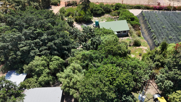 Property 3173614 - Image 34