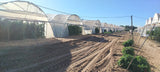 Property 3173614 - Image 62