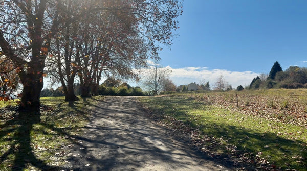 Property 3174239 - Image 53