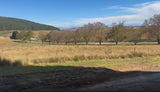 Property 3174239 - Image 9