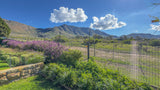 Property 3176650 - Image 10