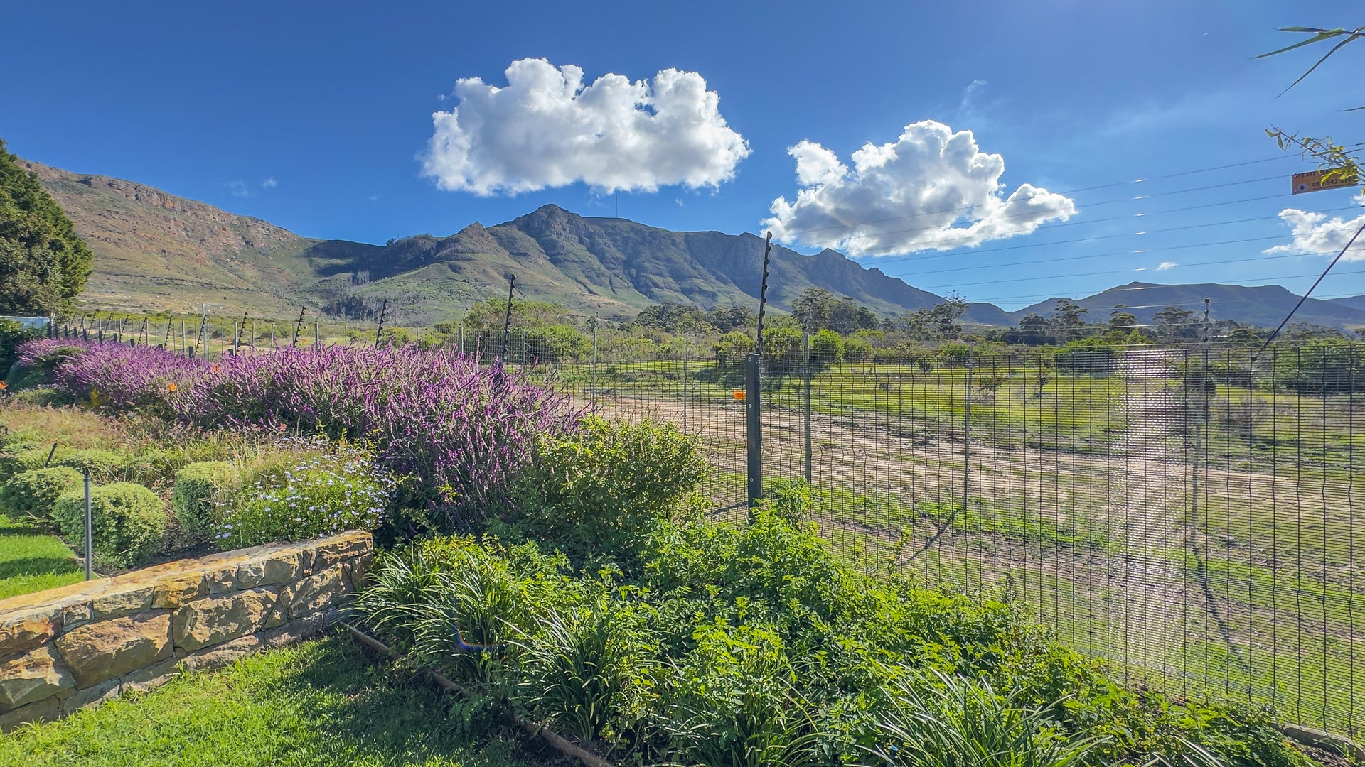 Property 3176650 - Image 10