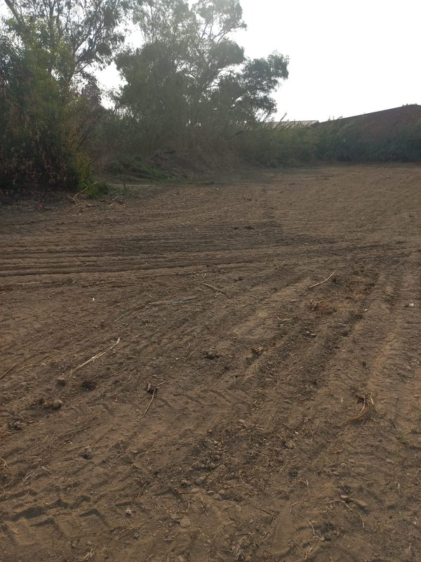 Property 3176961 - Image 2