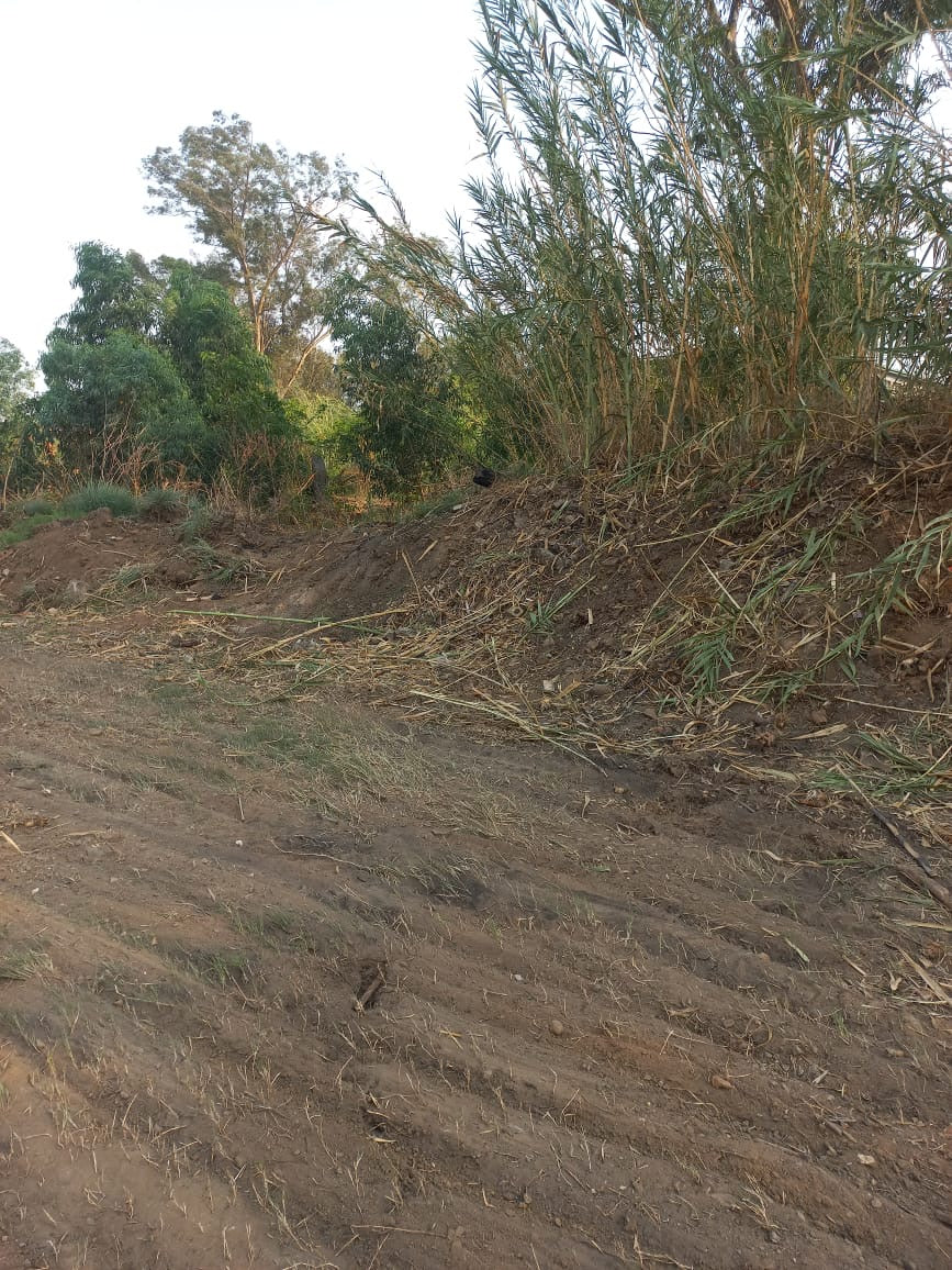 Property 3176961 - Image 7