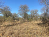Property 3183891 - Image 114