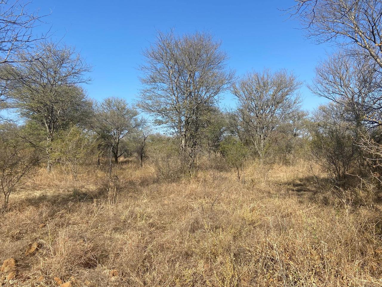 Property 3183891 - Image 114