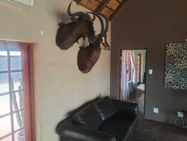 Property 3183891 - Image 25