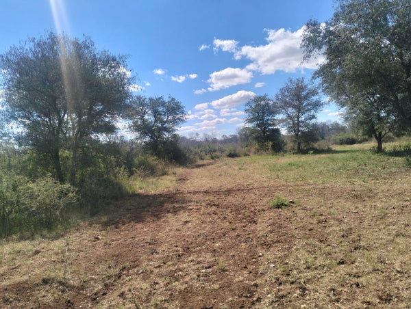 Property 3183891 - Image 63