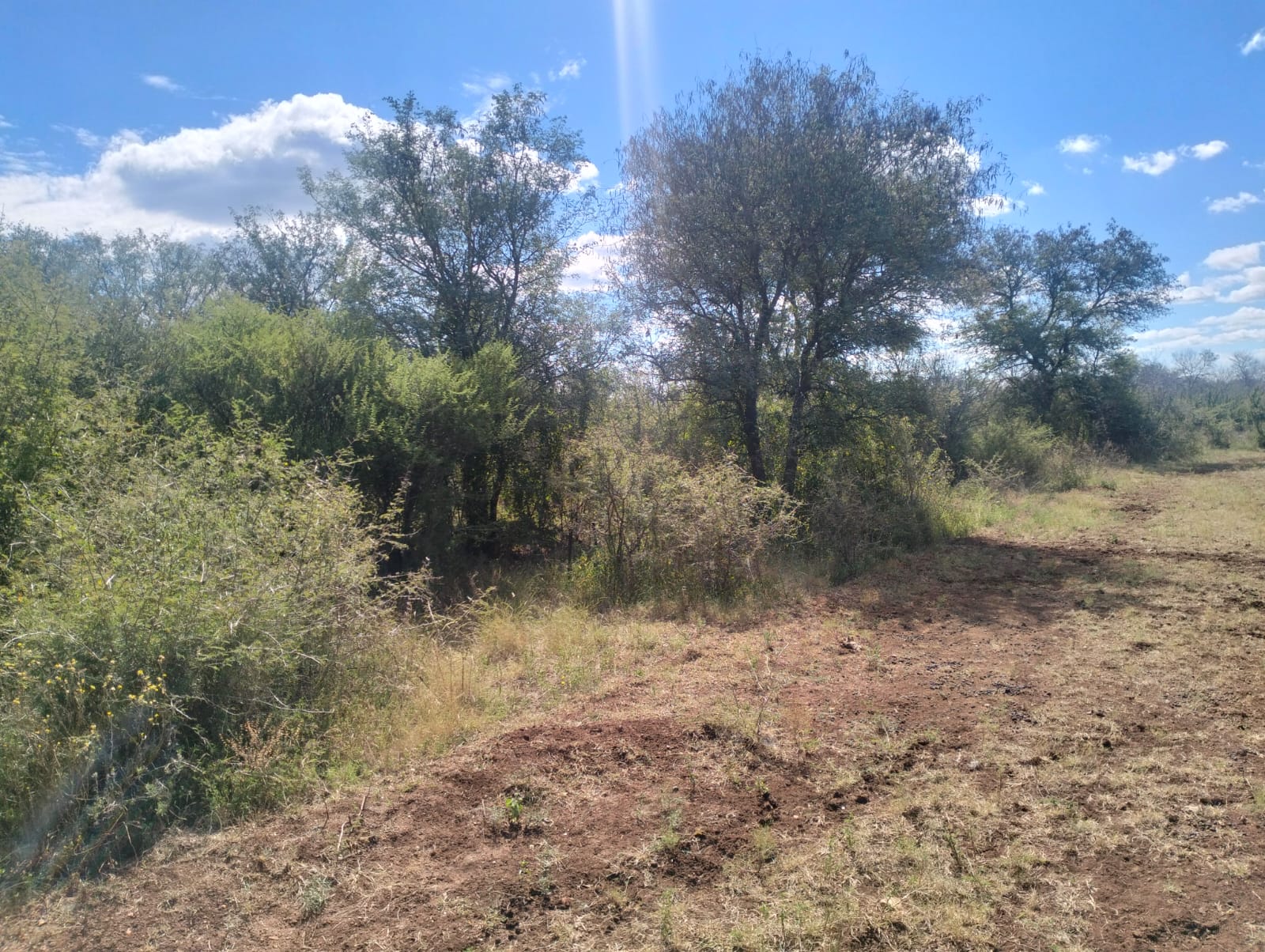 Property 3183891 - Image 67
