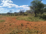Property 3183891 - Image 68
