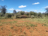 Property 3183891 - Image 72