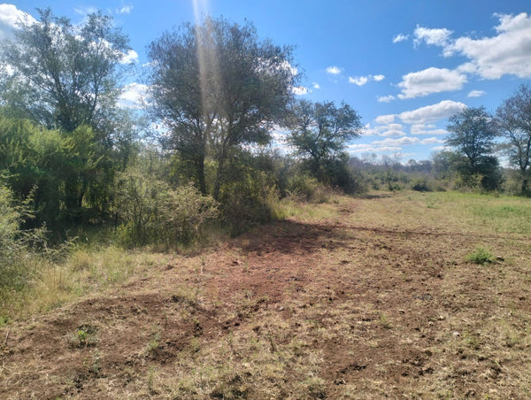 Property 3183891 - Image 77
