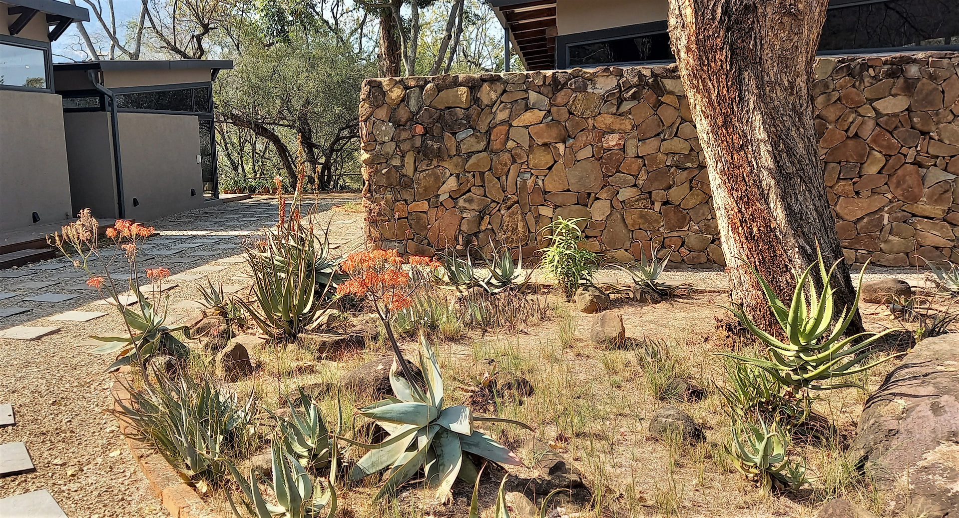 Property 319868 - Image 6