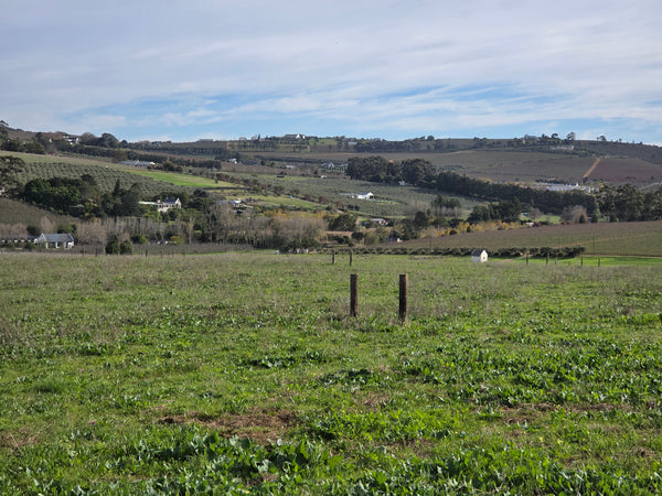 Property 3279338 - Image 10