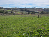 Property 3279338 - Image 11