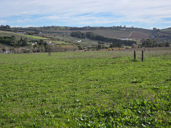 Property 3279338 - Image 11
