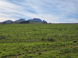 Property 3279338 - Image 14