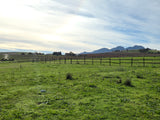 Property 3279338 - Image 20