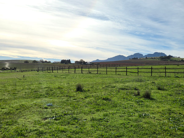 Property 3279338 - Image 20