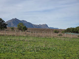 Property 3279338 - Image 6