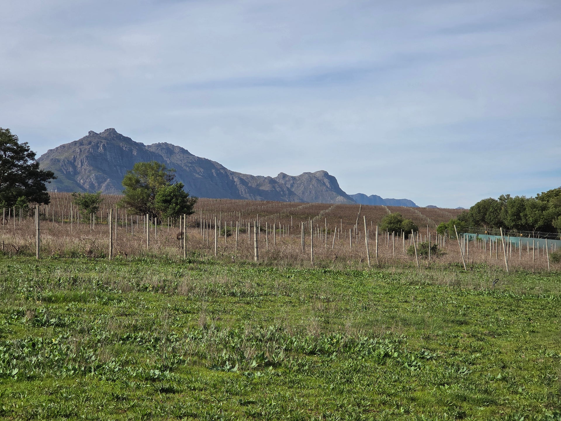 Property 3279338 - Image 6