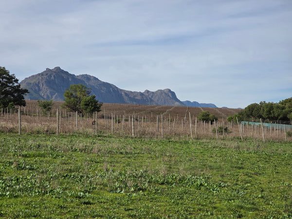 Property 3279338 - Image 6