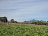 Property 3279338 - Image 7