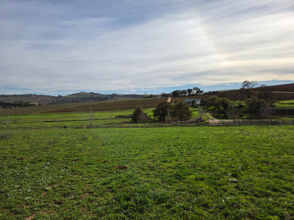 Property 3279338 - Image 8
