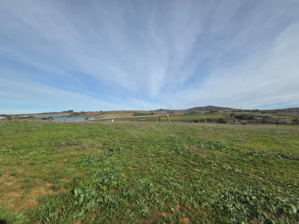 Property 3279338 - Image 9
