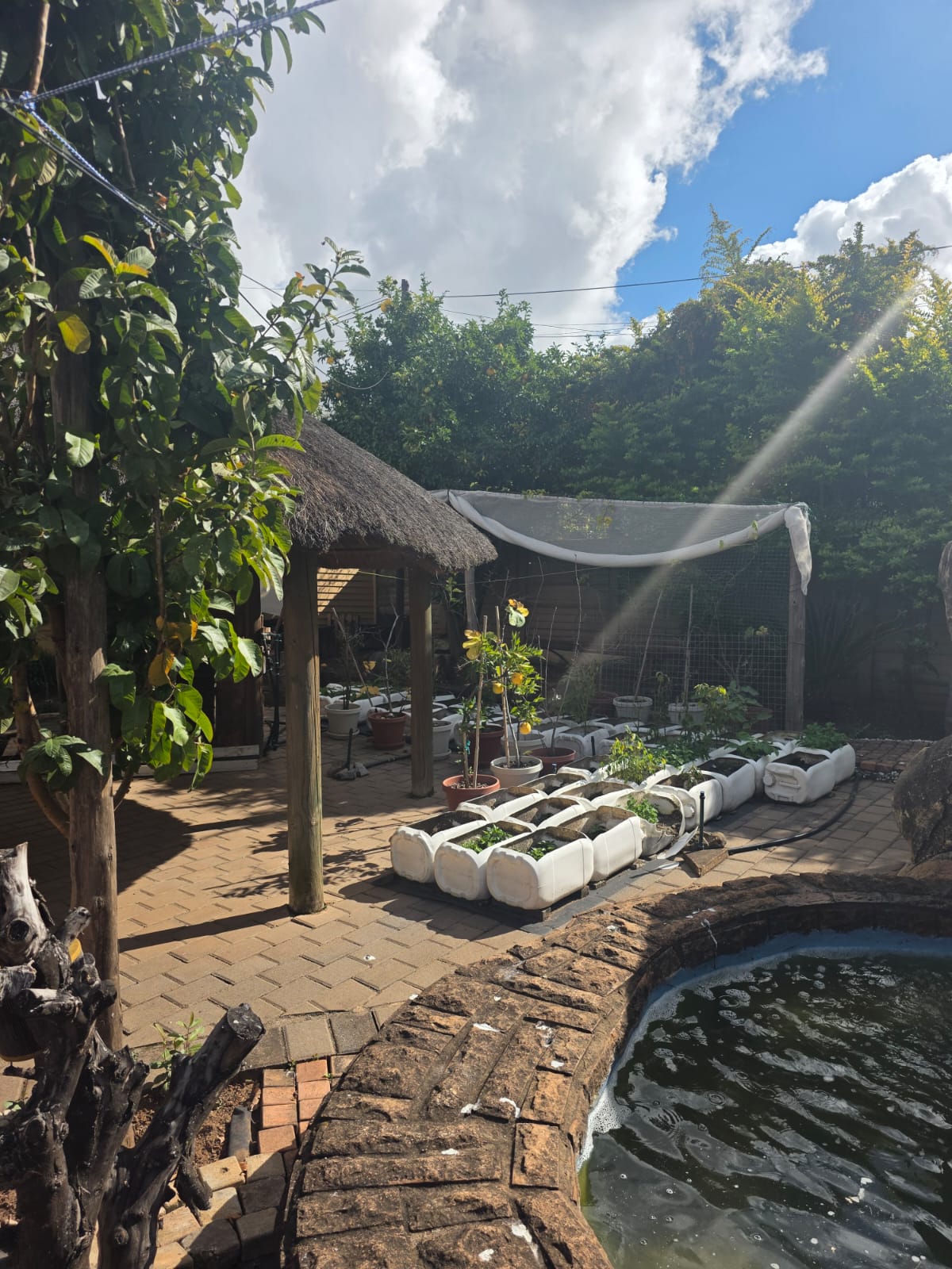 Property 3289031 - Image 8