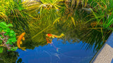 Property 3307498 - Image 122