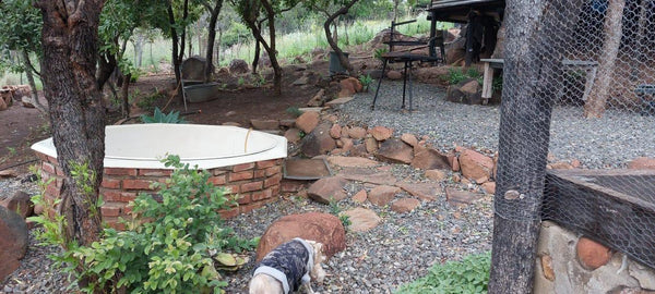 Property 3318620 - Image 22