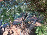 Property 3318620 - Image 4