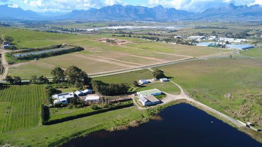 Property 3330938 - Image 2