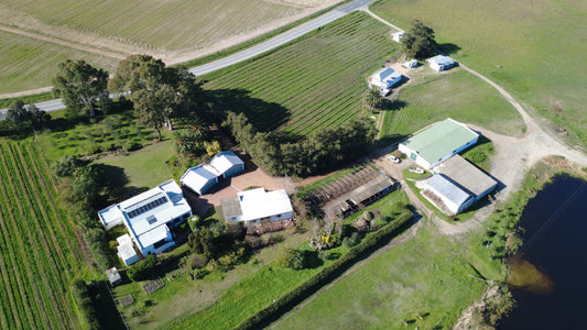 Property 3332183 - Image 1