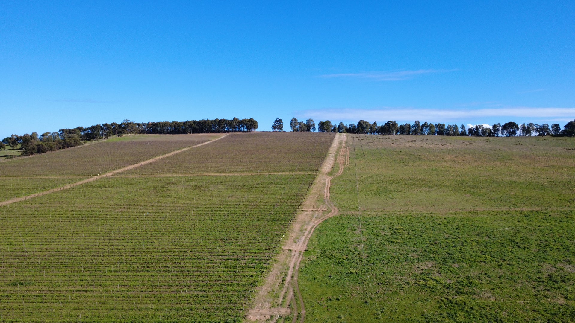 Property 3332183 - Image 3