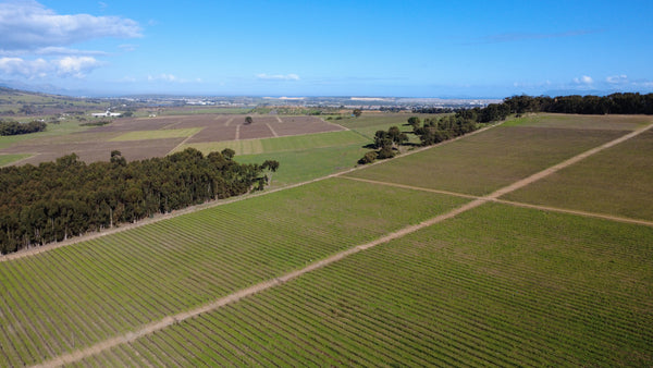 Property 3332183 - Image 9