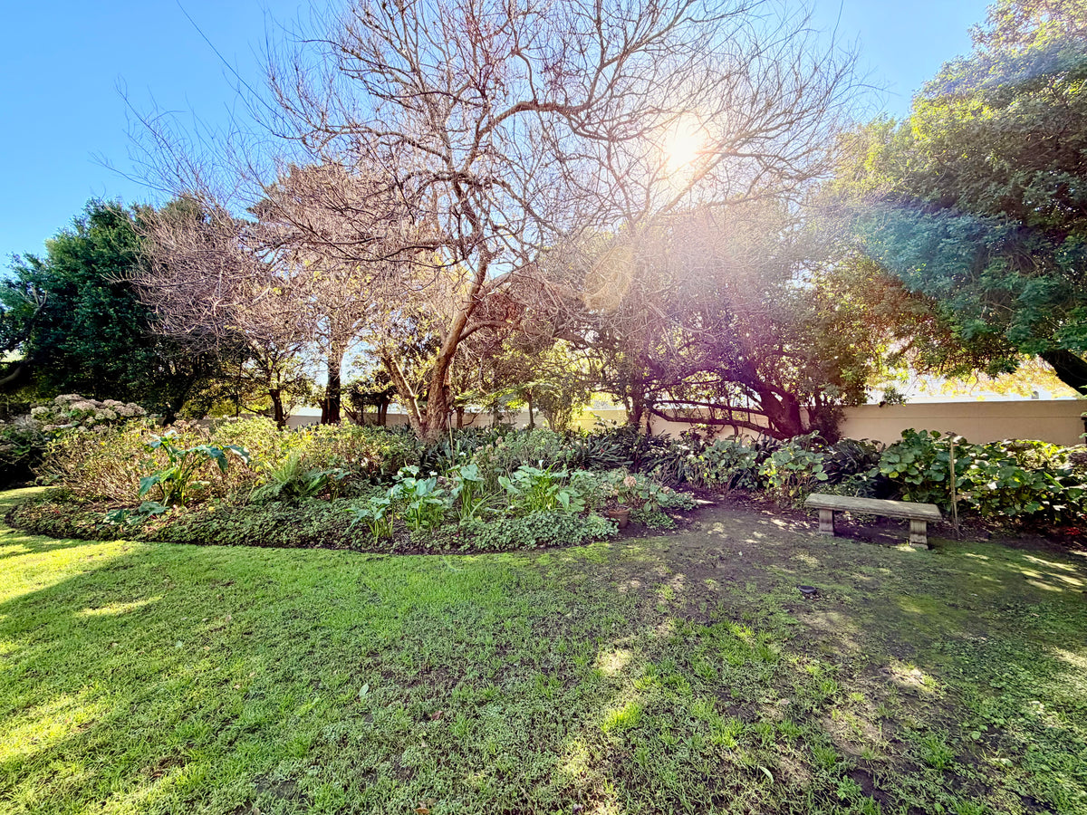 Property 3343423 - Image 18
