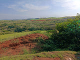 Property 3368833 - Image 14