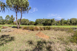 Property 3407980 - Image 13