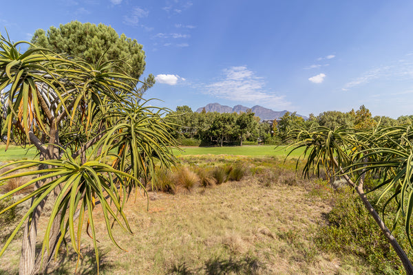 Property 3407980 - Image 2