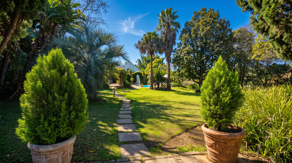 Property 3420577 - Image 64