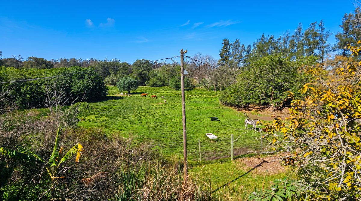 Property 3420577 - Image 66